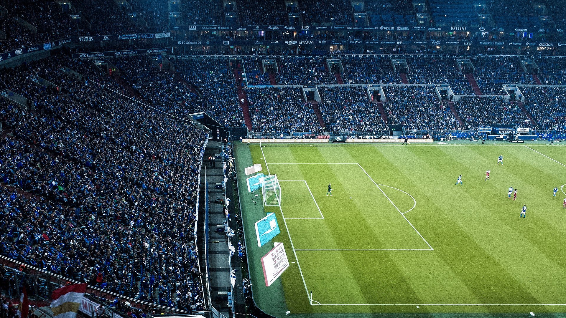 拉尼·帕利斯特赛后谈心路历程，帕尼尼利拉德